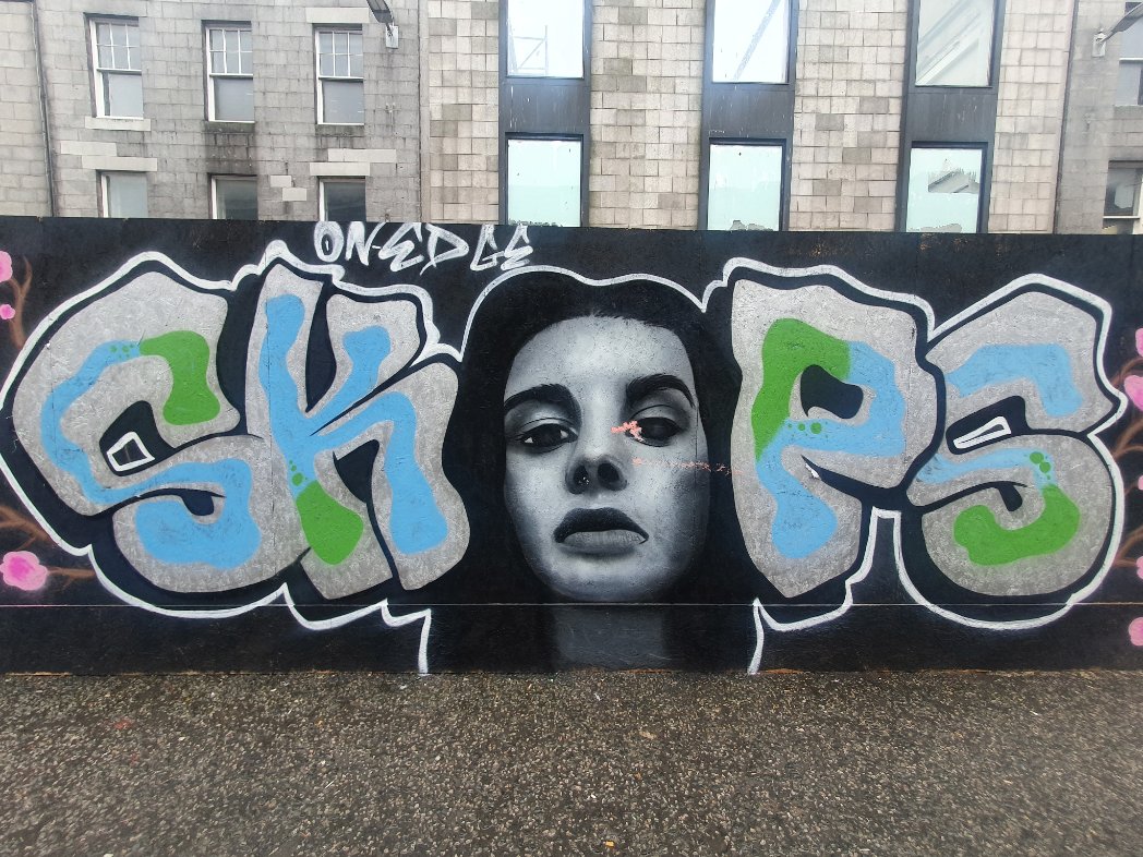 JanineEwen's tweet photo. Graffiti artist #skeps targeting more of the unpleasant boarded up #unionstreet in #Aberdeen. ππ#aberdeengraffiti https://t.co/xn3FYH5fog