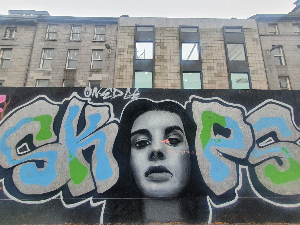 JanineEwen's tweet photo. Graffiti artist #skeps targeting more of the unpleasant boarded up #unionstreet in #Aberdeen. ππ#aberdeengraffiti https://t.co/xn3FYH5fog