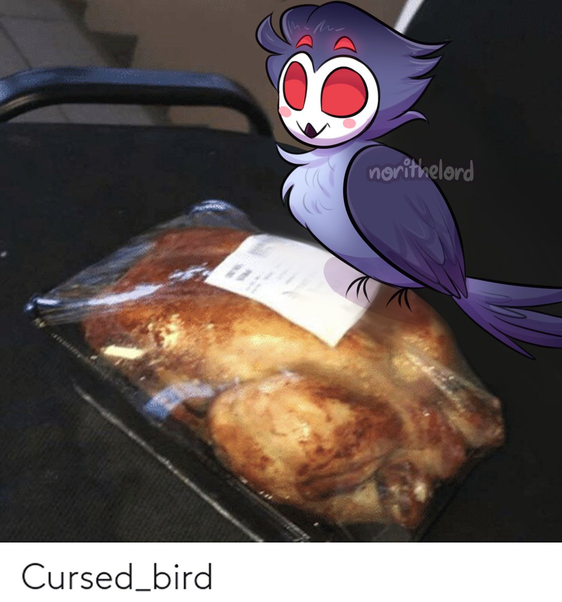 NoriTheLord's tweet photo. Owl Stolas without context :> 

#helluvaboss #owlstolas #stolas #helluvabossstolas #helluvabossfanart #cursedbird #cursedimages https://t.co/1PnSvCpQ2H