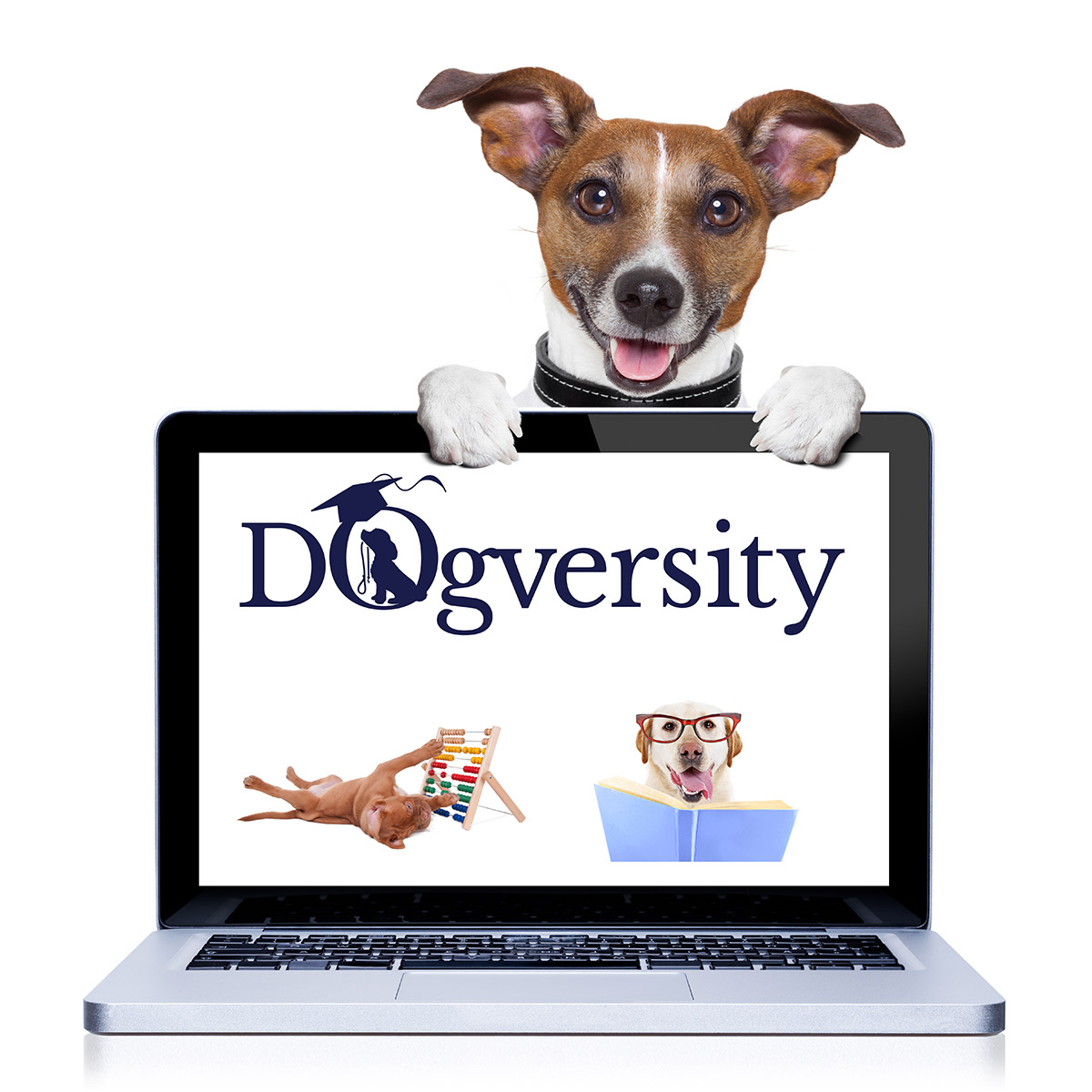 GoodVetPetGuide's tweet photo. .@BBD0G1  Dogversity - online training school for dog owners of all abilities - from novice to expert
- Access to real live trainers
- Over 250 easy to follow tutorials
- Free VIP membership group, weekly live video support sessions
https://t.co/LnspcMLl52

#thepetsbiz https://t.co/d8FHki0JFm