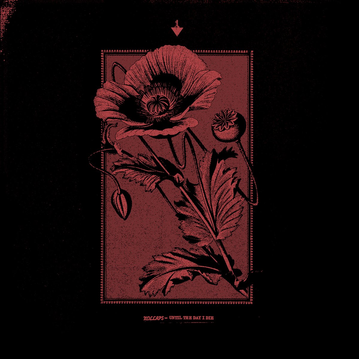 COLDSPRINGHQ's tweet photo. Out 24/06: @Kollapsmusic 'Until The Day I Die' CD/LP
The third album from the Australian #PostIndustrial outfit. A merciless and visceral assault on the senses.
Mastered by #JamesPlotkin. Cover art by Nullvoid (@T__R__P)
Full info, video, tour dates etc https://t.co/EjKihcTSDO https://t.co/MC7vfwVYYD