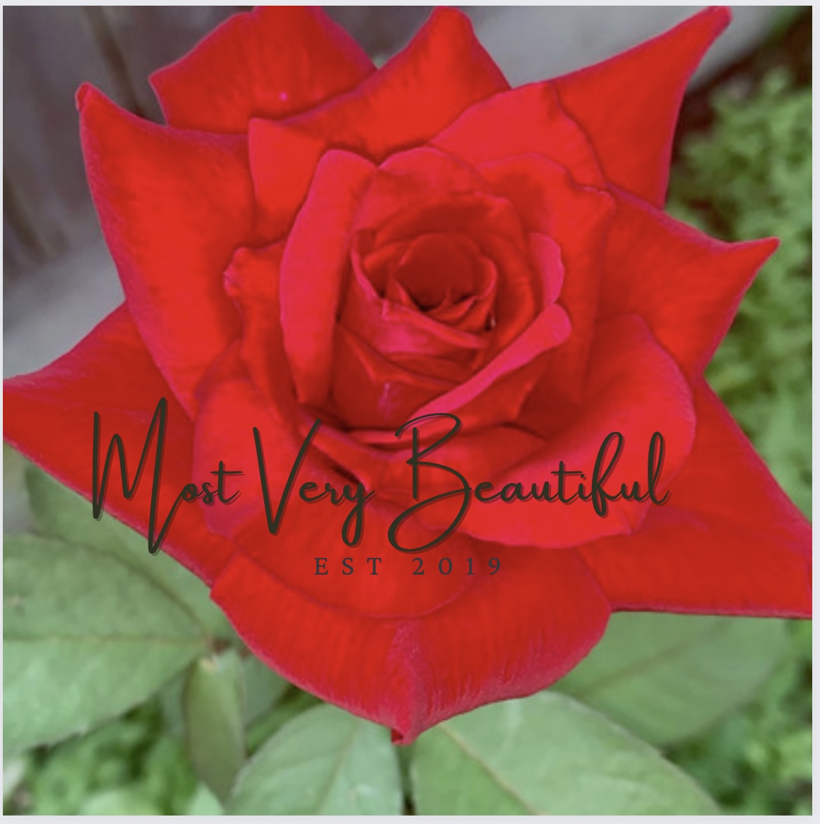 MostVeryBeauti1's tweet photo. Hello Beautiful people!!

Just a friendly reminder to keep being yourself!
You are one in this lifetime!
You are Most Very  Beautiful!🌹

Keep blooming where you are planted! 

#MostVeryBeautiful #Roses #LoveYourself #share #spreadlove #belove #givelove #loveoneanother https://t.co/CUnlKytI8J