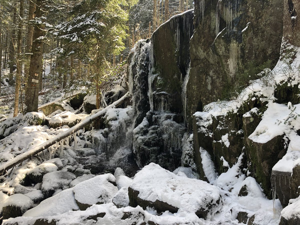 EmmanuelLagler's tweet photo. Rando #trail autour de #Gerardmer et une vue magnifique du haut de la tour de #Merelle 🤩
@Vosgestourisme @MairieGerardmer @OTGerardmer @LaVieEnVosges @LorraineTourism @regiongrandest https://t.co/NZDUSI1bTh