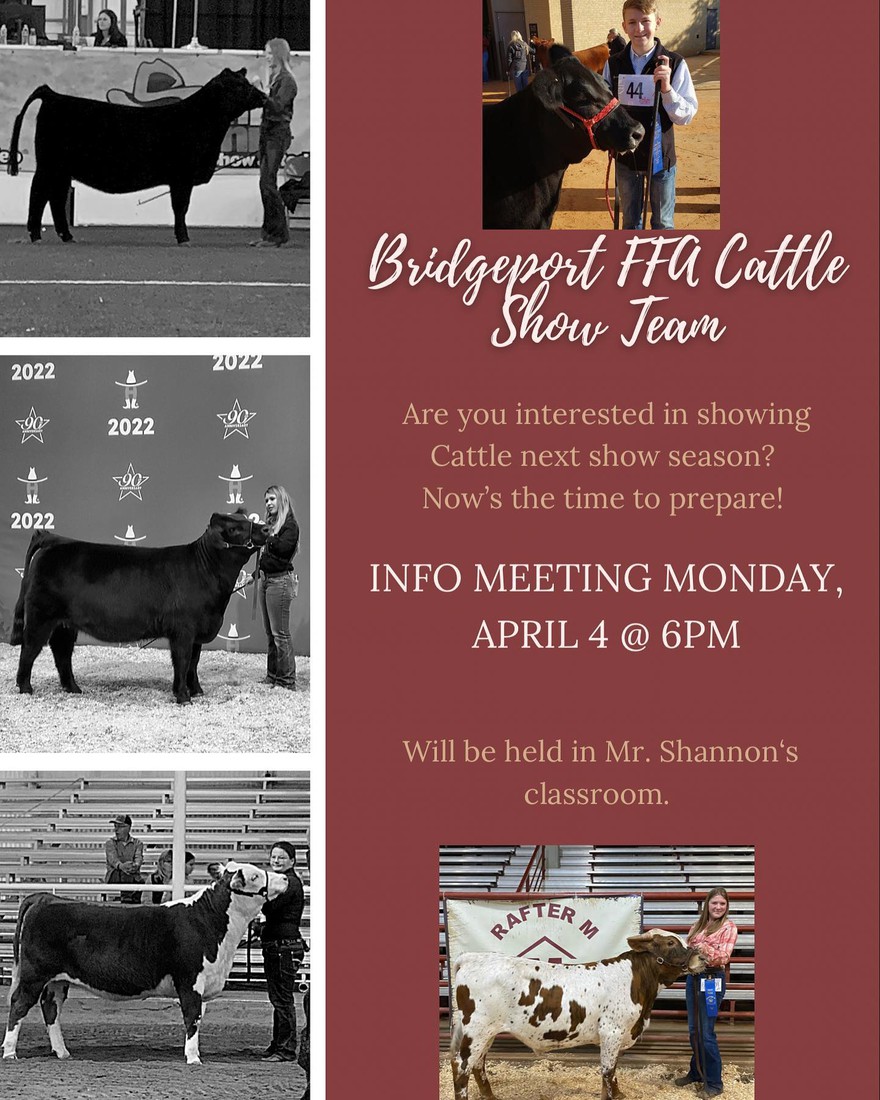 Are you interested in showing cattle next season as part of the Bridgeport FFA Cattle Show Team? Join the team tonight for an informational meeting at 6 p.m. in Mr. Shannon’s classroom at Bridgeport High School!