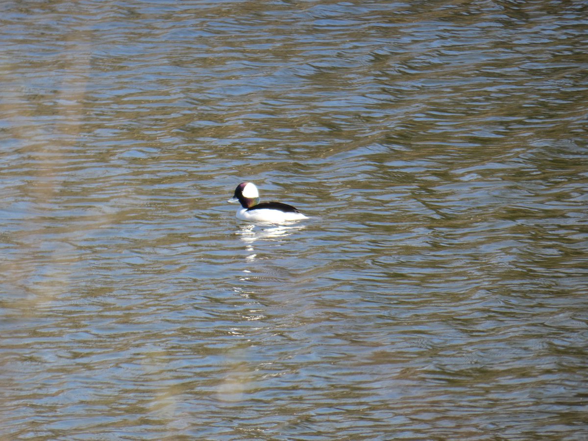 Mr. David M. Beyer tweet media