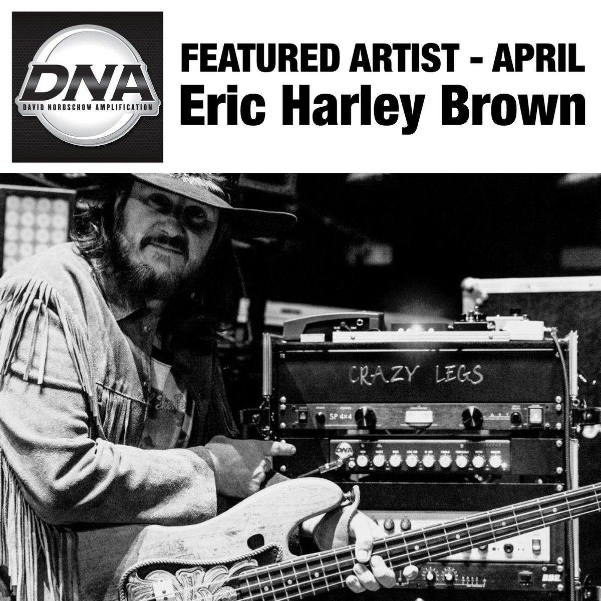 DNA_Amps tweet picture
