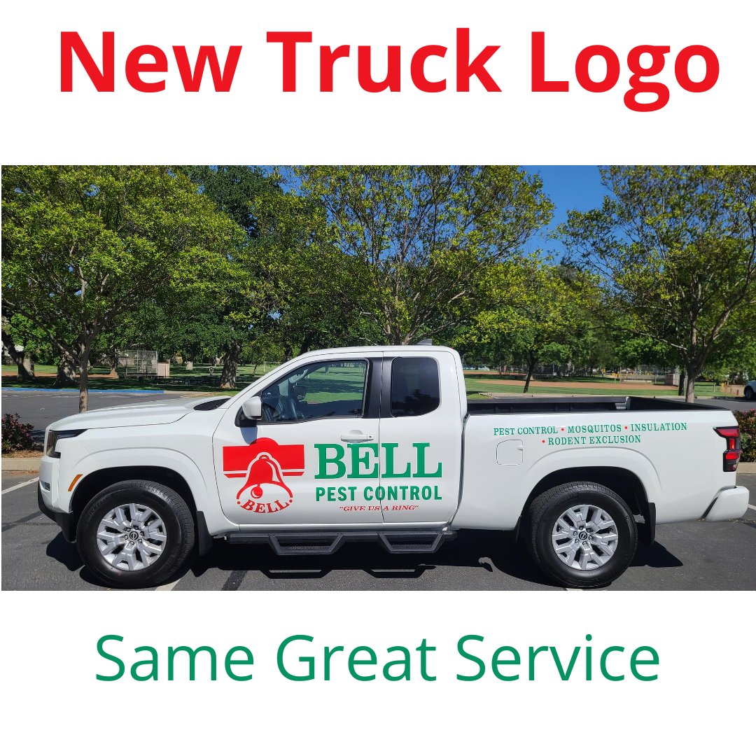 BellPestControl's tweet image. 