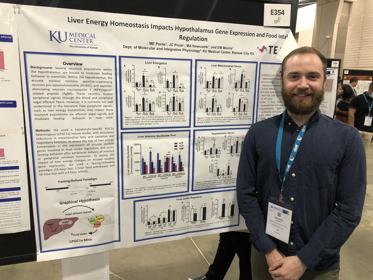 My first in-person conference and poster presentation! #EB2022 #APSatEB