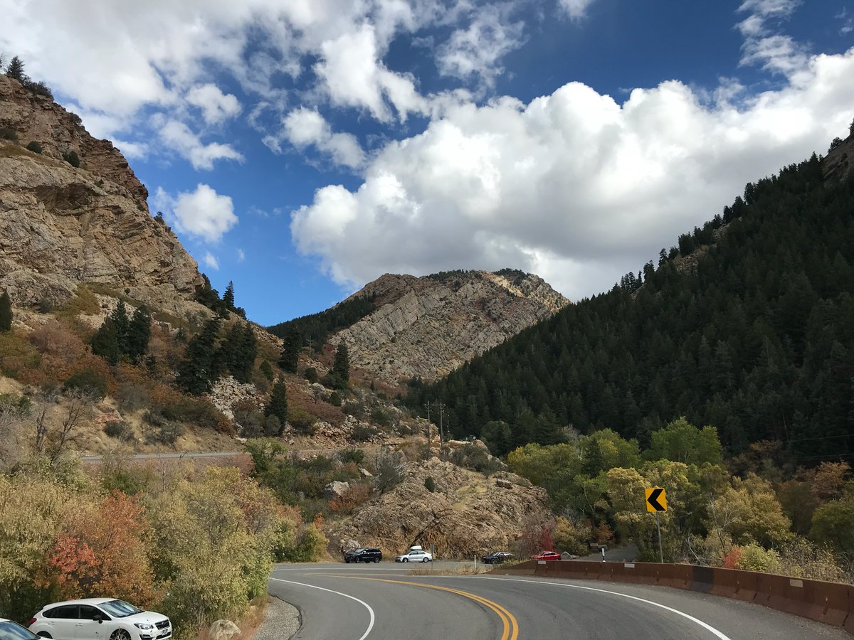 Bethany Rodgers tweet media