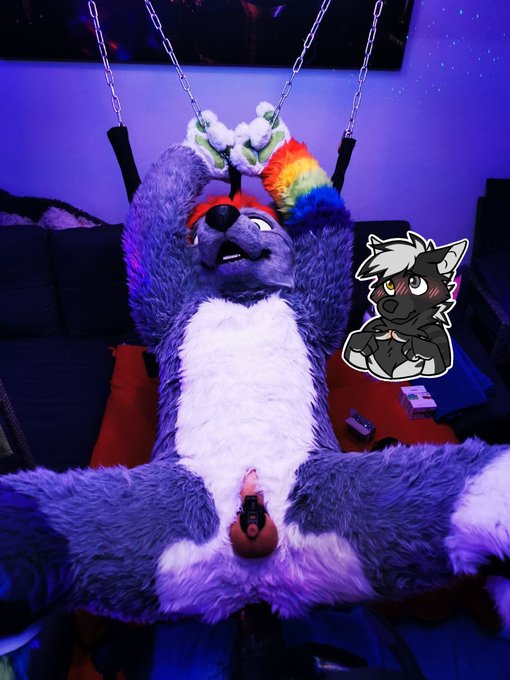 So horny, can someone fuck me please! Its #murrsuitmonday! 🍑🍆  #nsfw #murrsuit #chastity #horny https://t<a href="/tag/murrsuitmonday"class="tags">#murrsuitmonday</a><a href="/tag/horny"class="tags"><span>#horny</span></a><a href="/tag/nsfw"class="tags"><span>#nsfw</span></a><a href="/tag/chastity"class="tags"><span>#chastity</span></a><a href="/tag/murrsuit"class="tags"><span>#murrsuit</span></a>