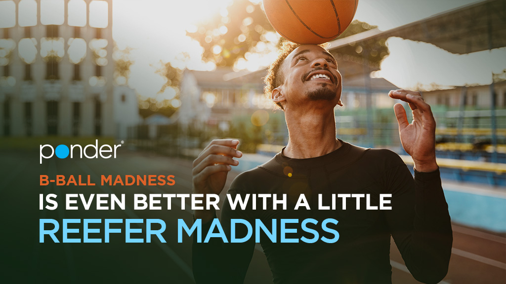 B-Ball Madness is even better with a little Reefer Madness. Get yours on today with hot new items and recurring fav's back in stock now:  bit.ly/PonderBballRee…

Featuring: <a href="/STRYPSWA/">STRYPS</a> <a href="/LazyBeeGardens/">Lazy Bee Gardens</a>  <a href="/HouseofCultivar/">House of Cultivar</a> <a href="/phatpanda/">Phat Panda ™</a> <a href="/DoseOil/">Dose Oil</a> and more!