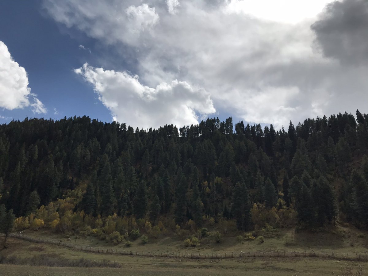 Birendr46670114's tweet photo. #TouristParadise  #NatureTourisam #AdventureTime Destination &amp; Journey complements at #Tulail #Baraub Places to travel by compass #NaturePhotography #NatureCalls @tourismgoi @JandKTourism @PIBSrinagar @ddnews_jammu @GreaterKashmir @RajuBis56851755 @IncorrigIible @OfficeOfLGJandK https://t.co/TYtBC290gD