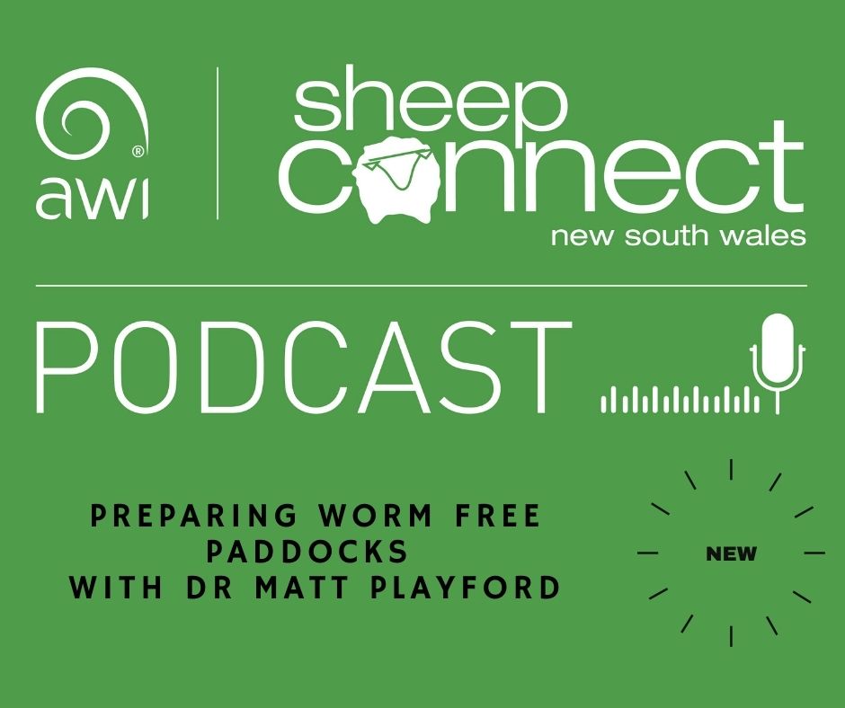 🟢NEW PODCAST OUT NOW!🟢

Dr Matt Playford to talk about preparing clean pastures and preparing  paddocks.

Listen on Spotify/Apple Podcast: 👇

spoti.fi/3qXhiRS

apple.co/3J7QYdY

#sheepworms 

@woolinnovation @SheepProducers @WoolProducers @MerinoLink