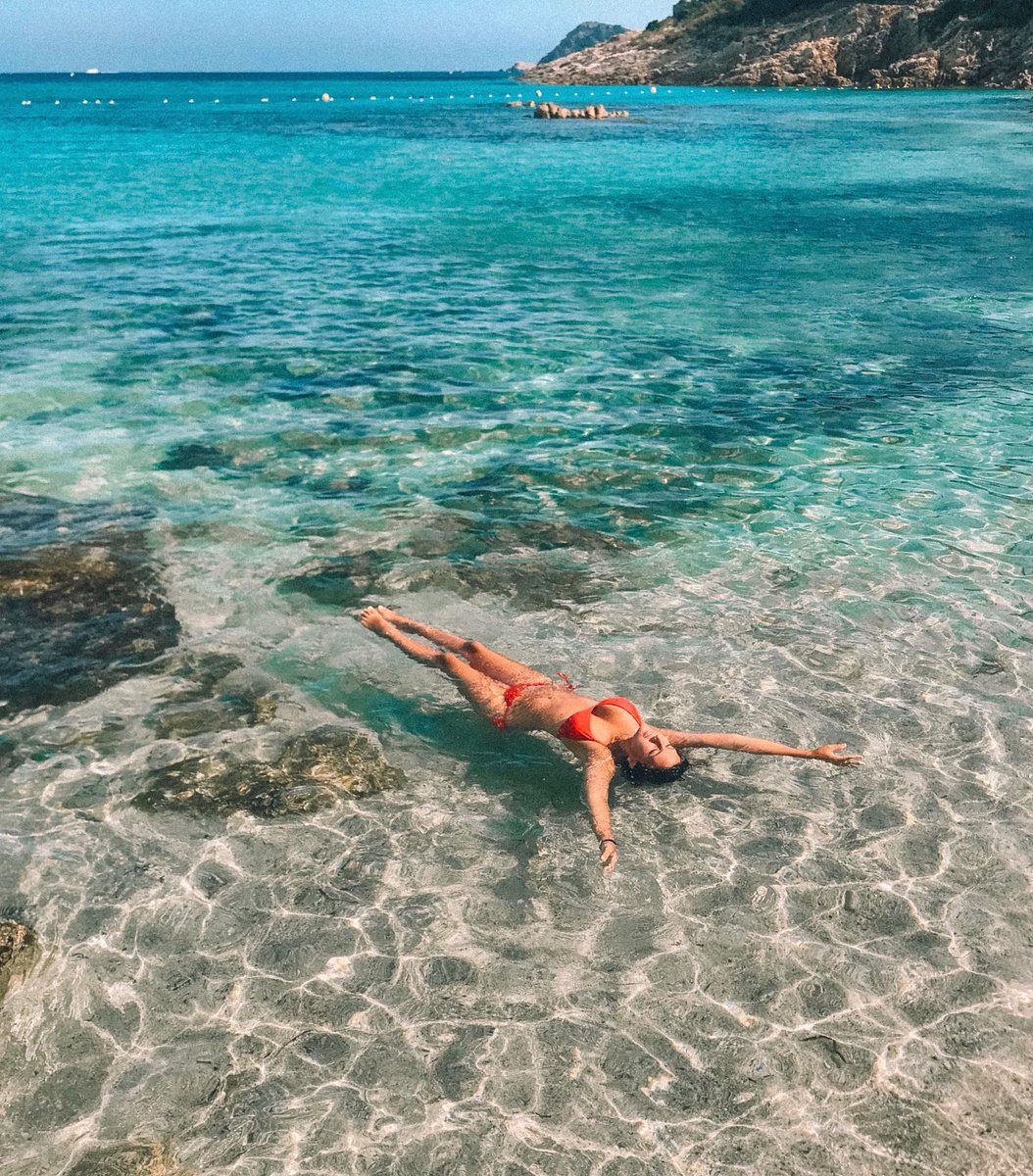 Spytail Rum tweet media