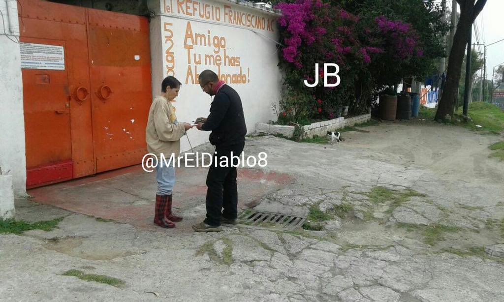 MrElDiablo8's tweet image. Un litigio podría dejar sin hogar a mil 500 #perros🐶 del @Ref_Franciscano, ubicado en la @AlcCuajimalpa, el cual está a cargo de mi amiga Gina desde hace 45 años, a quien conozco y he visto su labor  y entrega con los animales. 

#NoAlDesalojoDelFranciscano