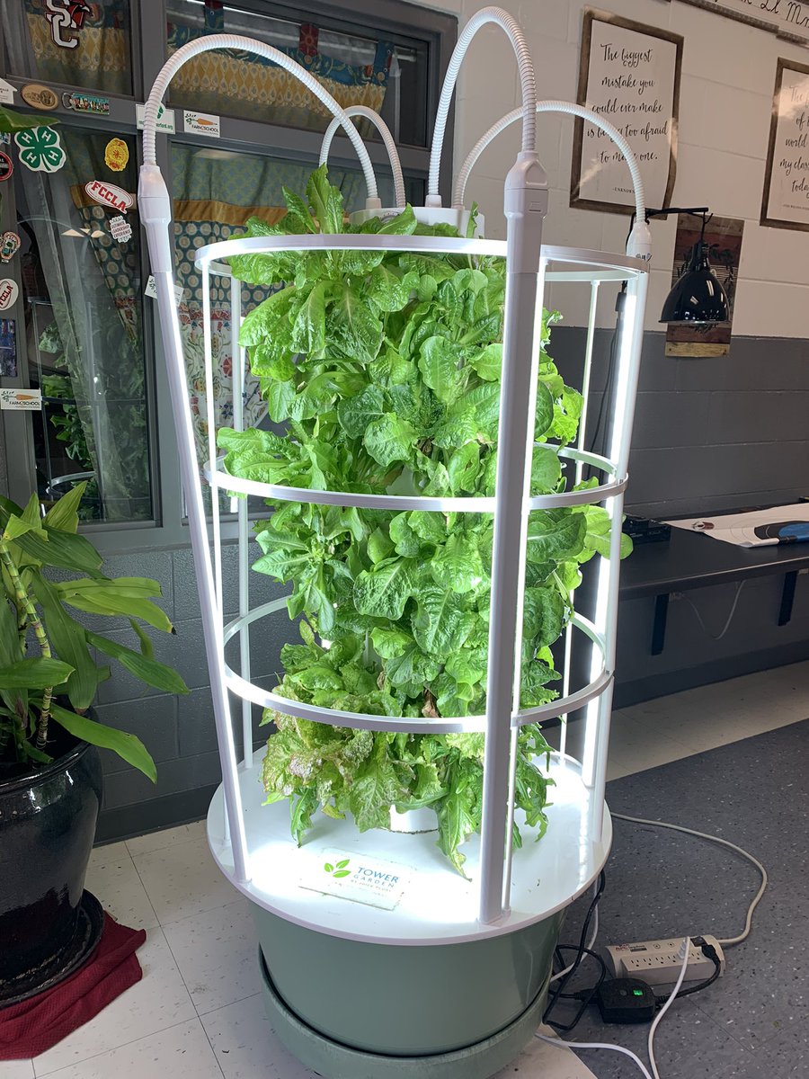 SCMSFCCLA's tweet photo. No ranch allowed! So many kids think ranch is the only dressing allowed on a salad. #TryNewThings #TowerToTable #NationalGardenMonth @msamy4h @SCMFalcons @rucoschools @RuCoCTE https://t.co/PNK4GlYkR9