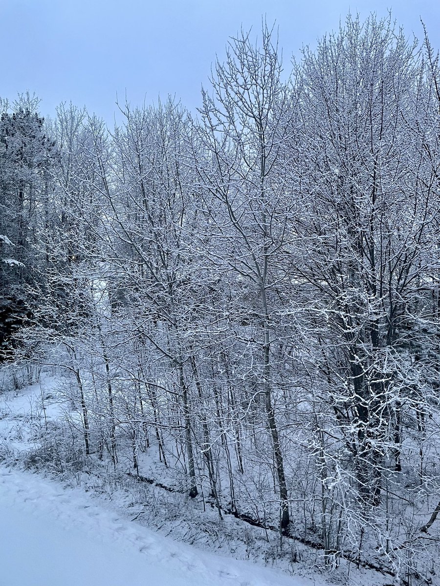 Michelle Soledad 🇵🇭 tweet media