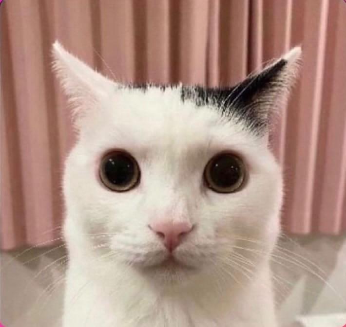 M0MFUCK3R's tweet photo. | Should I revive this account? https://t.co/wL2Mmm5u1M