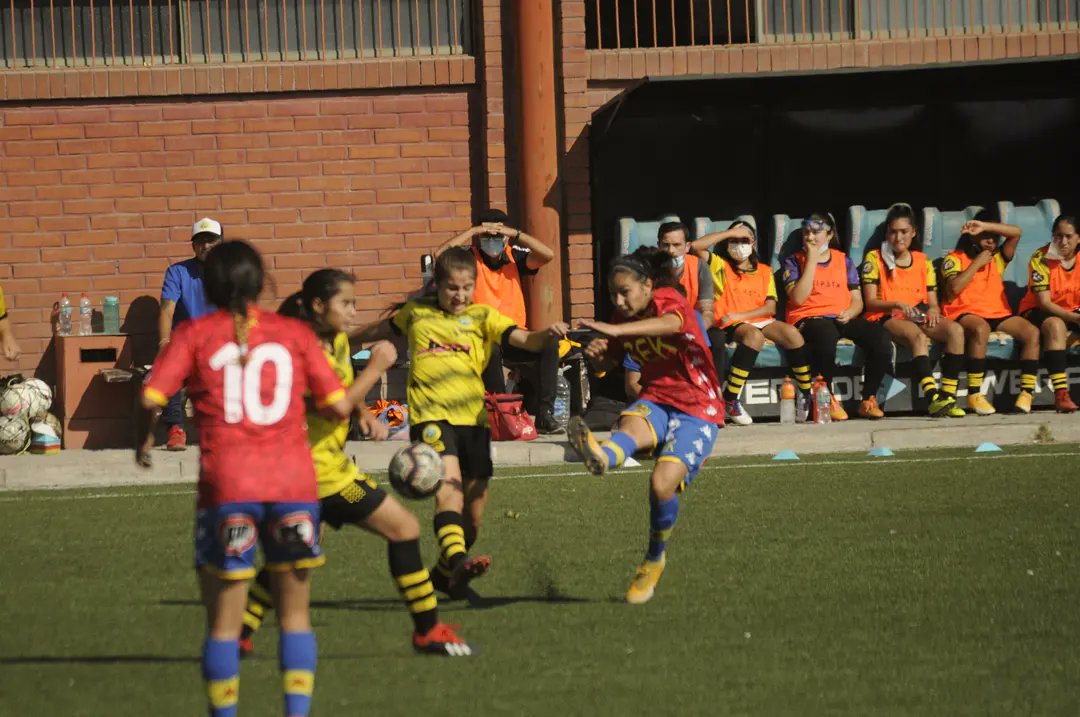 Lautaro de Buin tweet media