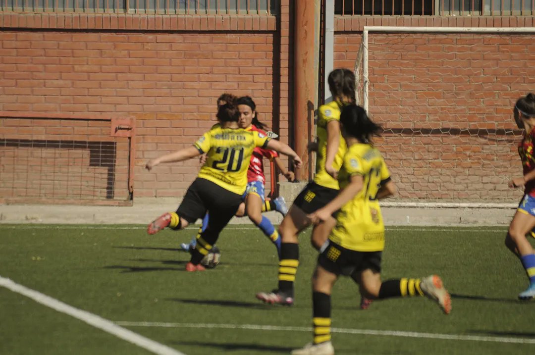 Lautaro de Buin tweet media