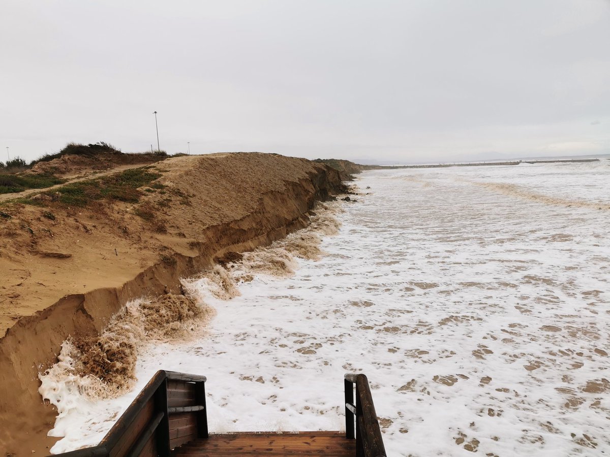 jipagan_'s tweet photo. Temporal muy duro en #GuardamarDelSegura. Grave afección a la duna en #PlayaViveros #ElsVivers. Seguimiento de miembros del @dic_ua @aortaresearch. Abro 🧵 #IngenieriaCostera https://t.co/hH45yYeuMT