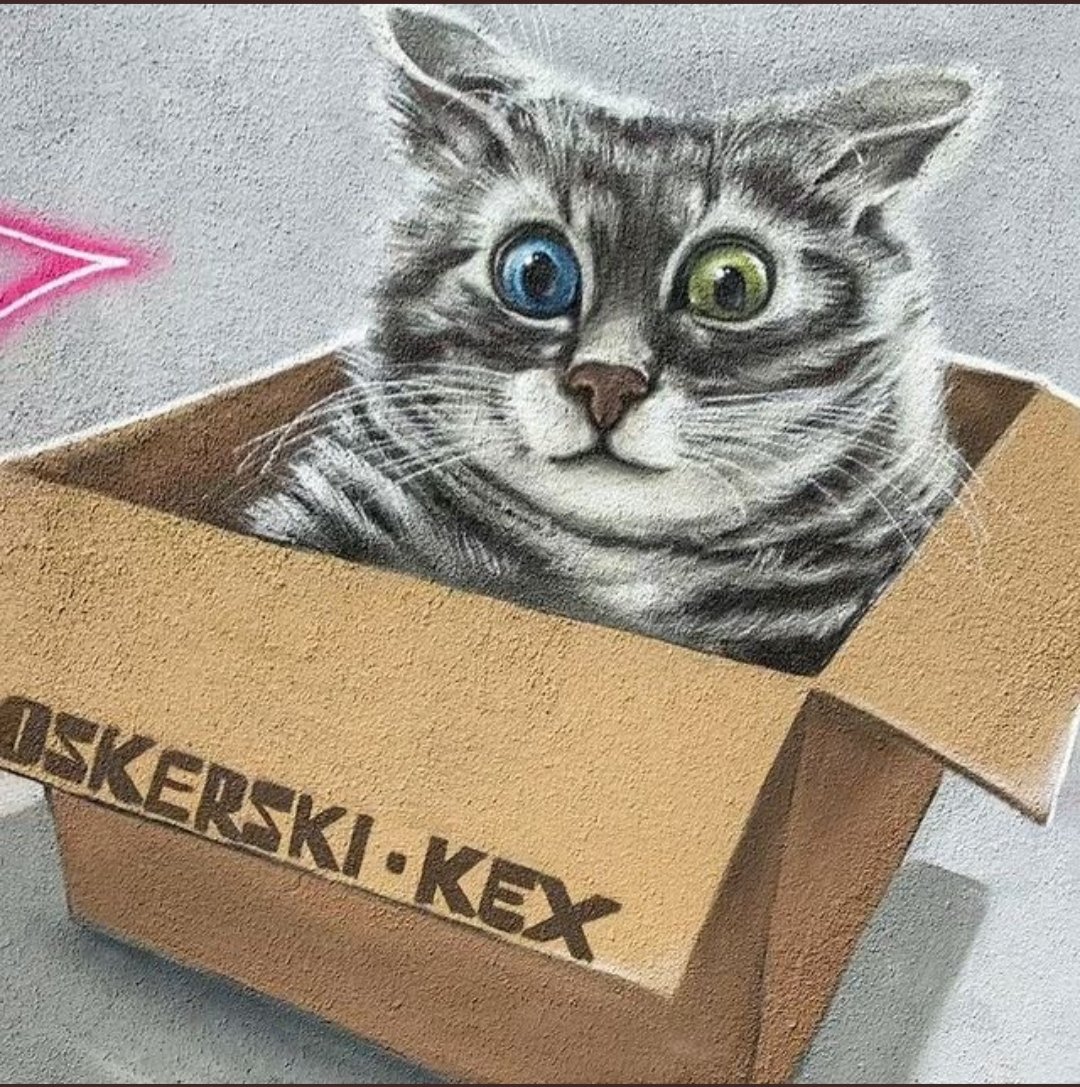 bsky1111111 (@toto_pauli) on Twitter photo 