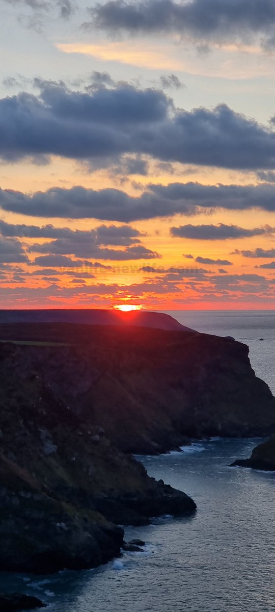VanLifeNewLife's tweet photo. A view and sunset to match any other! 😍
#northcliffs #cornwall #sunset #Views #panorama #vanlifenewlife #vanlife #cliffs #summertime #SummerVibes #summer2022 https://t.co/YhemhJpvWF