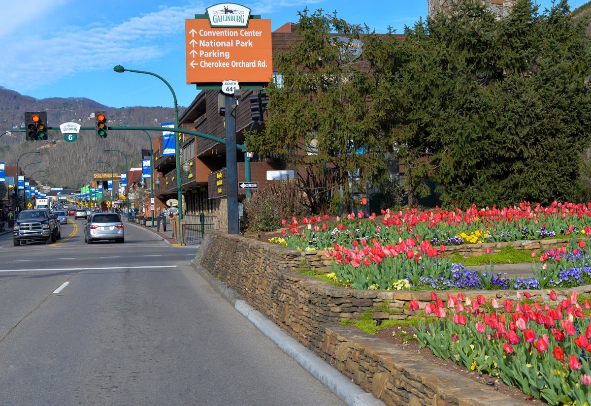 TravelGburg's tweet photo. It's been a beautiful day in Gatlinburg! Spring is in the air. 🌷 https://t.co/sck4bL9xcU