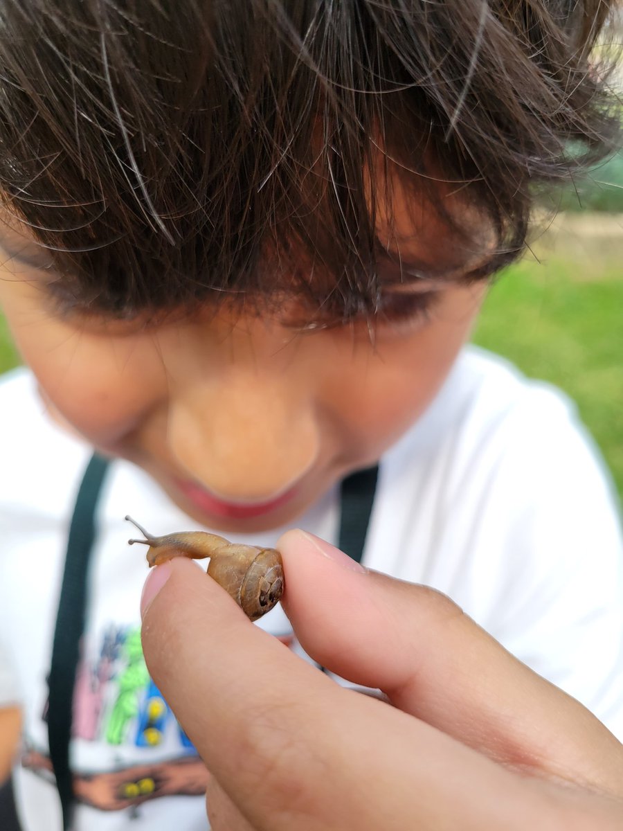 PackerRTGG (@packerrtgg) on Twitter photo 4th grade <a href="/RobisonES/">Robison ES</a> Rockets may have been learning about ladybugs, but we found lots of other critters in the garden today!
<a href="/readygrowgarden/">Ready to Grow Garden</a> <a href="/RobisonElemPTO/">Robison Elem PTO</a> <a href="/CFISDScience/">CFISD Science</a> 4th grade <a href="/RobisonES/">Robison ES</a> Rockets may have been learning about ladybugs, but we found lots of other critters in the garden today!
<a href="/readygrowgarden/">Ready to Grow Garden</a> <a href="/RobisonElemPTO/">Robison Elem PTO</a> <a href="/CFISDScience/">CFISD Science</a>