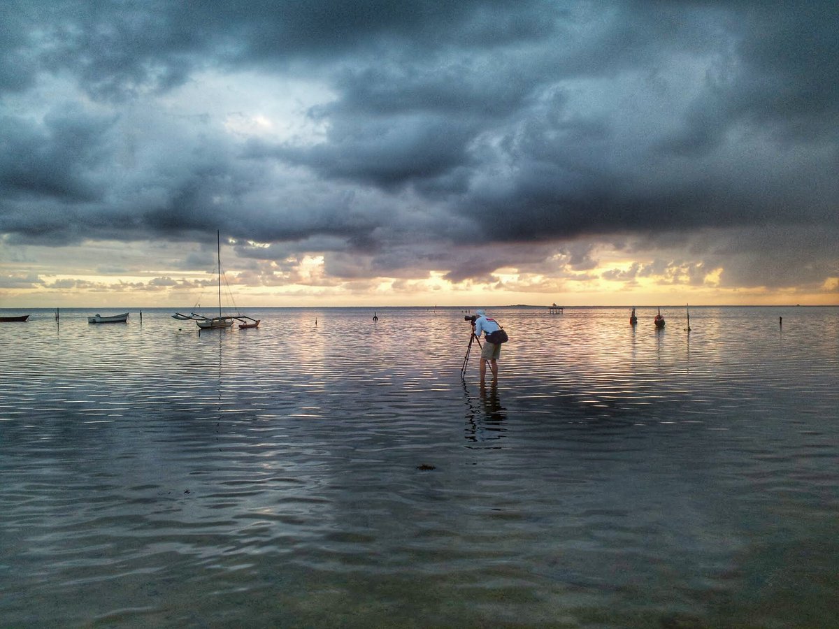 Arleen Boyd tweet media