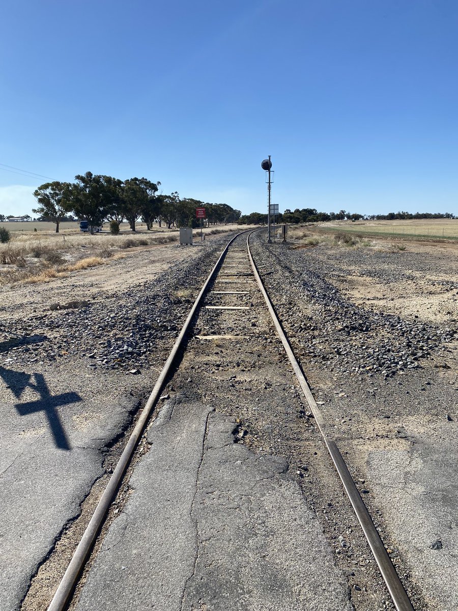 Esplanade controls a broad range of weeds in many situations including rail crossings ensuring continued safety to road users by maintaining clear line of sight. @Bayer4VegMgtAU #weeds #rail #ivm