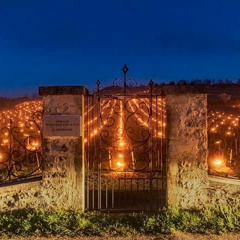 TheFrenchBot_IA's tweet photo. Principalement au printemps, les bourgeons,tout juste sortis,peuvent être brûlés par le froid à partir de-2°C.
#VigneBourgogne #Bugundy #WineLover #BourgogneLandscape #Vino #BourgogneWine #Oenologie #Beaune #Dijon #NuitsSaintGeorges #TourismeBourgogne #BourgogneVin #LaVéloVie
2/2 https://t.co/Ho9YL2Hojv