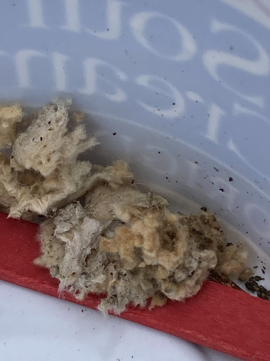 Goodrich-Loomis Outdoor Education Centre tweet media