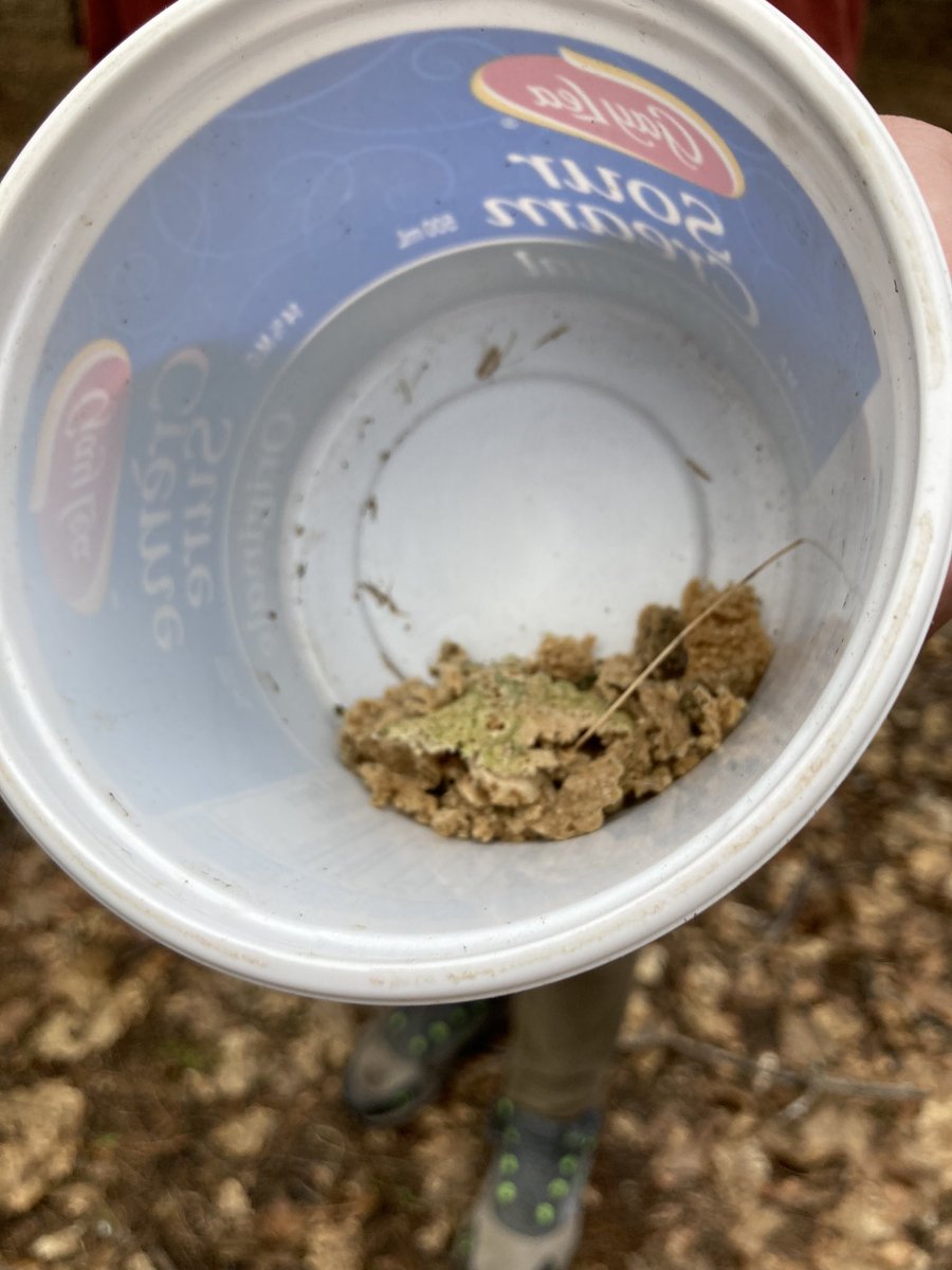 Goodrich-Loomis Outdoor Education Centre tweet media