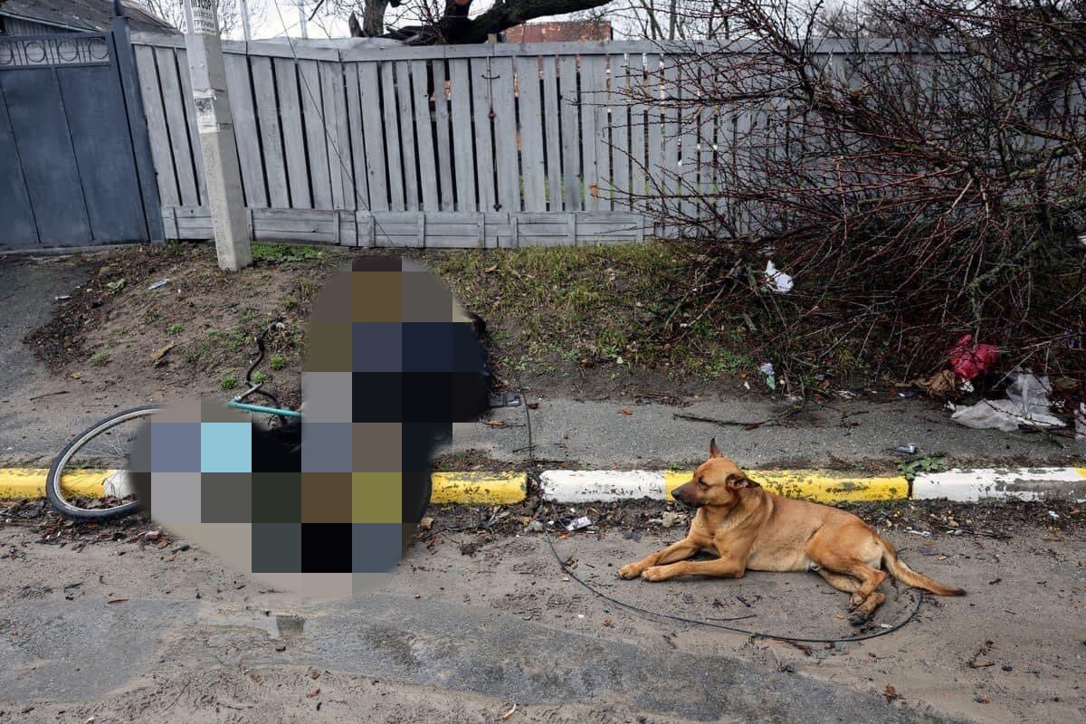 Der Gepardkommandant tweet media