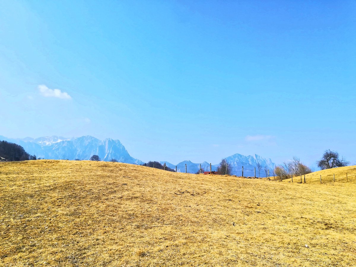 #recoaro

#natura #nature #greenfields #campiverdi #recoaromille #vicenza #naturephotography #naturelovers #hills #blueskies #hike #photography