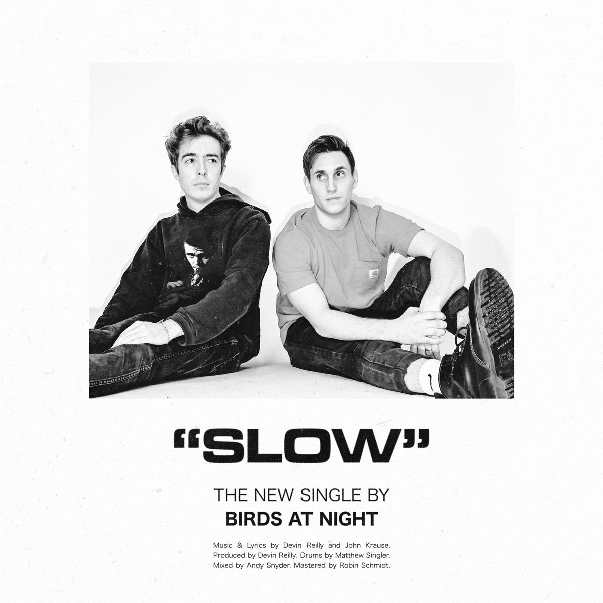 birds at night tweet media