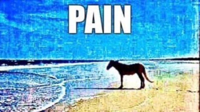 thinking about how the chargers lost to the fucking texans last year https://t.co/JQoQeyGlVA