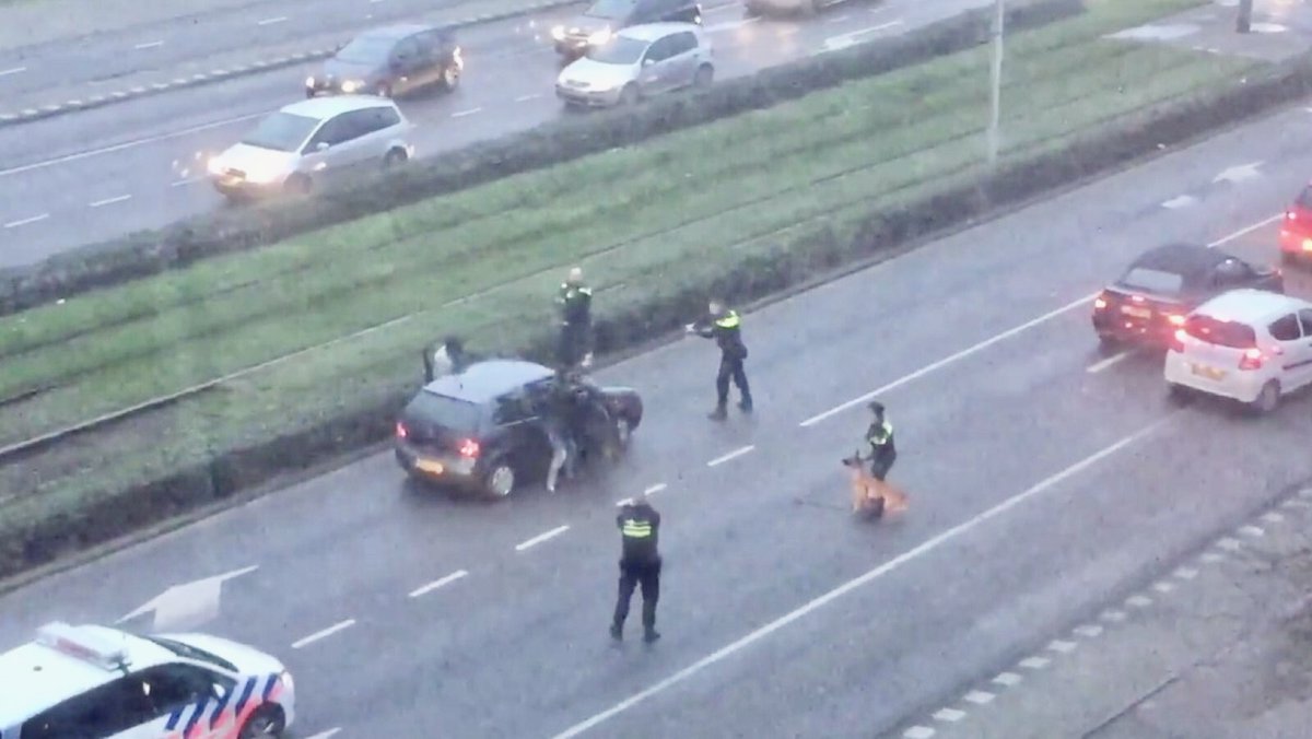 Dorien Rosé Duinker tweet media