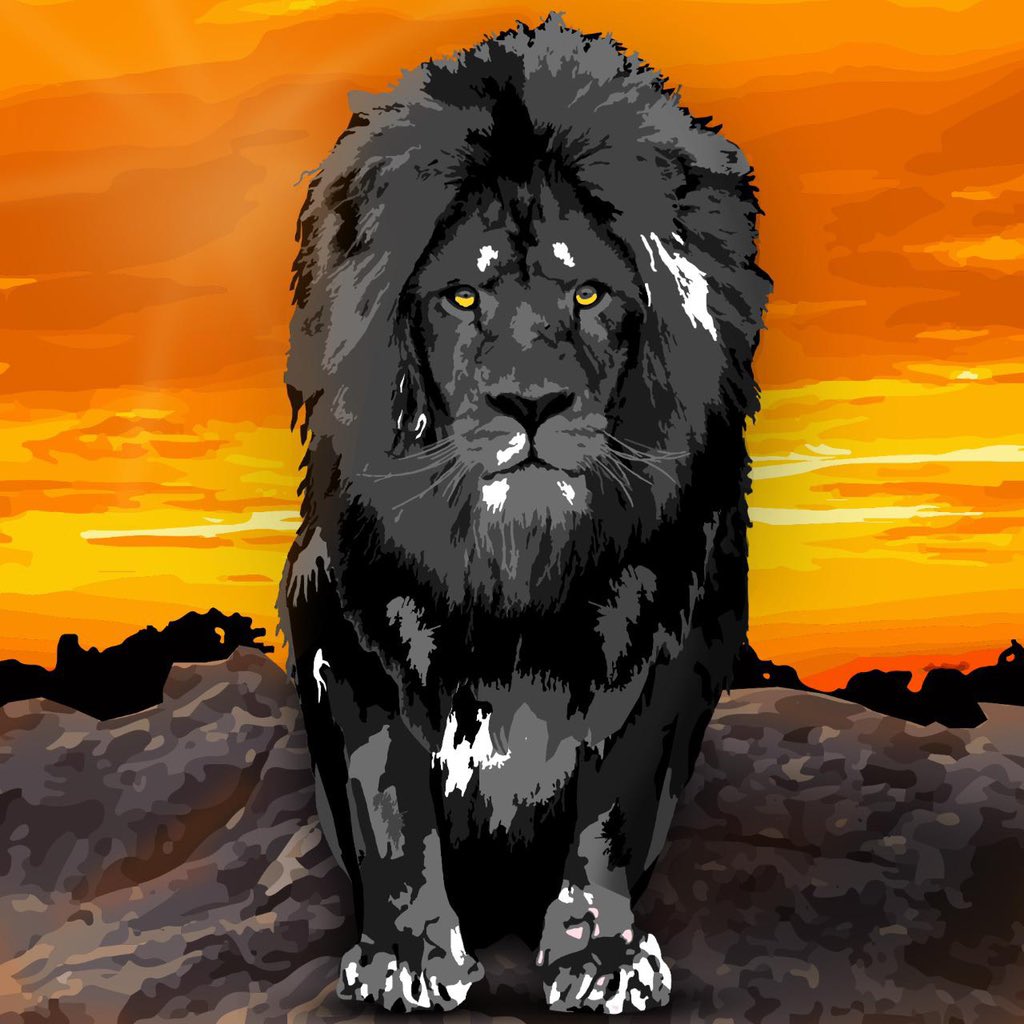 Roar Storm NFT tweet media