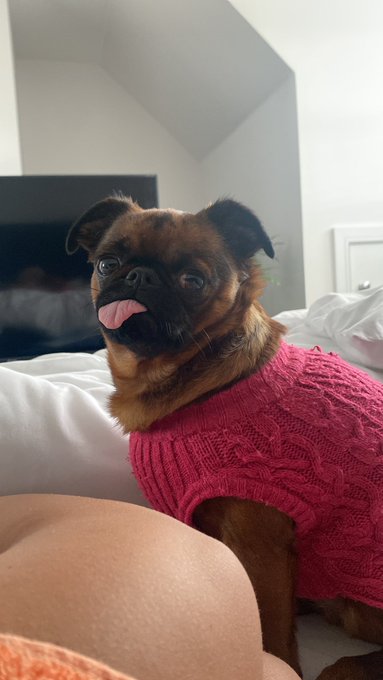 My best pal keeping me company https://t.co/9CyfF6pWrH