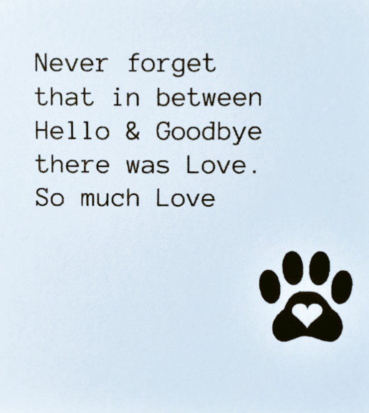 Di Binley tweet media