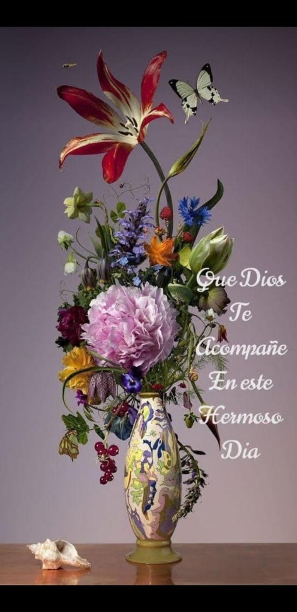 AmaliaCerdaCor's tweet photo. Buenas tardes https://t.co/Pz7K3YAF14