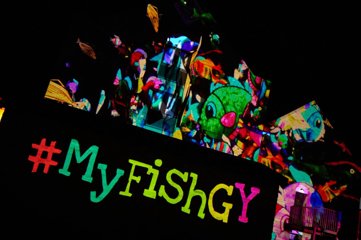#MyFishGY tweet media