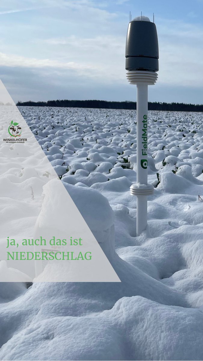 FWinkelhofer's tweet photo. Mindestens einmal zu Beginn der #Vegetation passiert sowas noch. Der #Raps grad am Aufstängeln, unter Tags dann Schnee weg und in der Nacht nochmal 6 Grad Minus. Aber besser jetzt als in nem Monat. Die #Fieldmate kann ich übrigens jedem empfehlen, vor allem beim #Pflanzenschutz https://t.co/T1lZxZZDbv