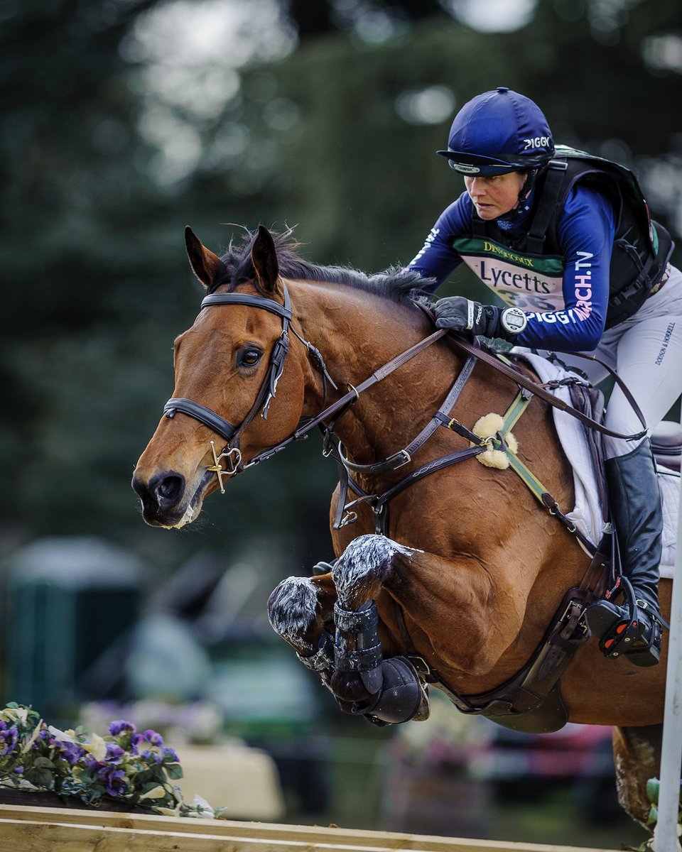 So proud of this horse! The fabulous Arthur showing everyone what he’s made of at Thoresby by winning the Grantham Cup.🏆🥇🥳

#TrainWithPiggy

📸<a href="/TillyBerendt/">Tilly Thee Journalist</a>