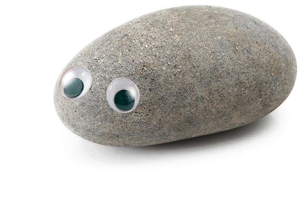 CaptainMorie's tweet photo. Dudes would rather spend 100 ETH on this rock than pay child support. https://t.co/ct6NOnHBiX