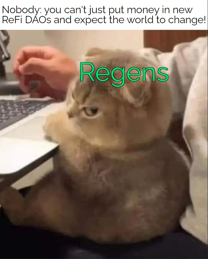 rememerative's tweet photo. Well I say it doesn't hurt to try 💸 #ReFi https://t.co/YtWcUgYzwk