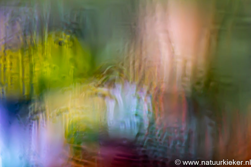 Het uitzicht op mijn vogelvoederplek vandaag... <a href="/natuurkieker/">natuurkieker Coby</a> #natuurbeleving #regen