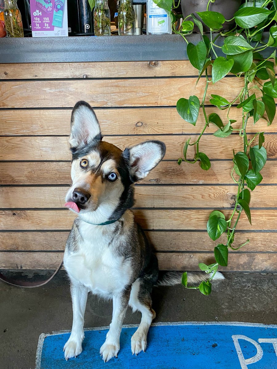 Cuvée Coffee tweet media